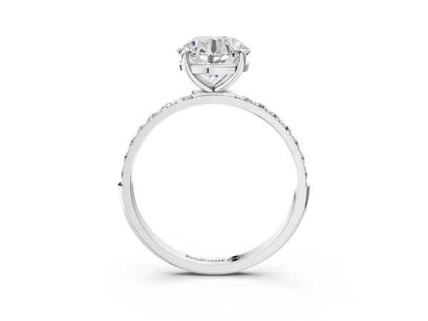 White gold Round Cut Diamond Pavé Band Solitaire Ring with Four-Prong Setting_51
