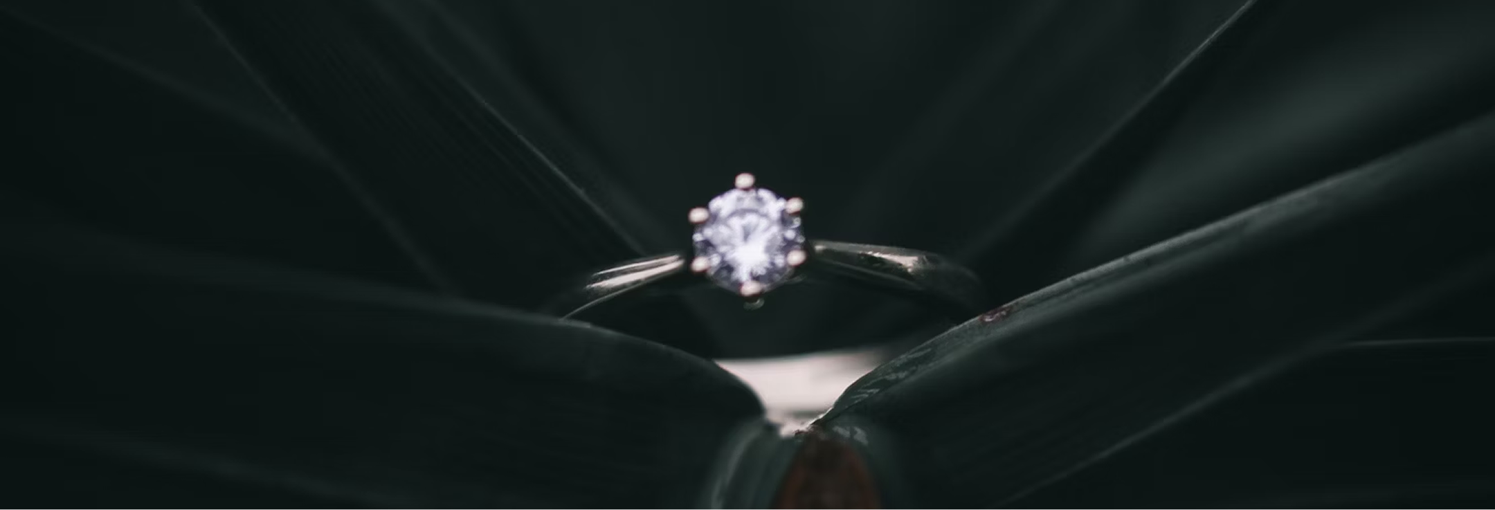 Gemora Diamonds official storefront and brand imagery